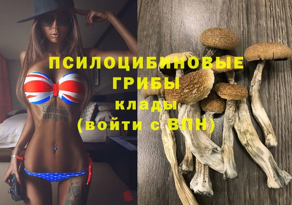 COCAINE Пестово