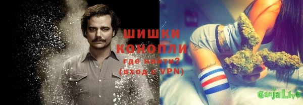 круглые Пересвет