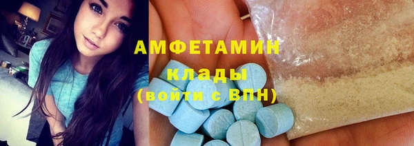 шишки Переславль-Залесский